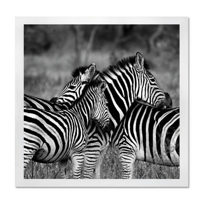 インテリアアート RAKUDECO ラクデコシリーズ Zebra ホワイト RD-1007 店舗 カフェ ラウンジ ロビー ホテル 法人 kar-5620954s1の画像