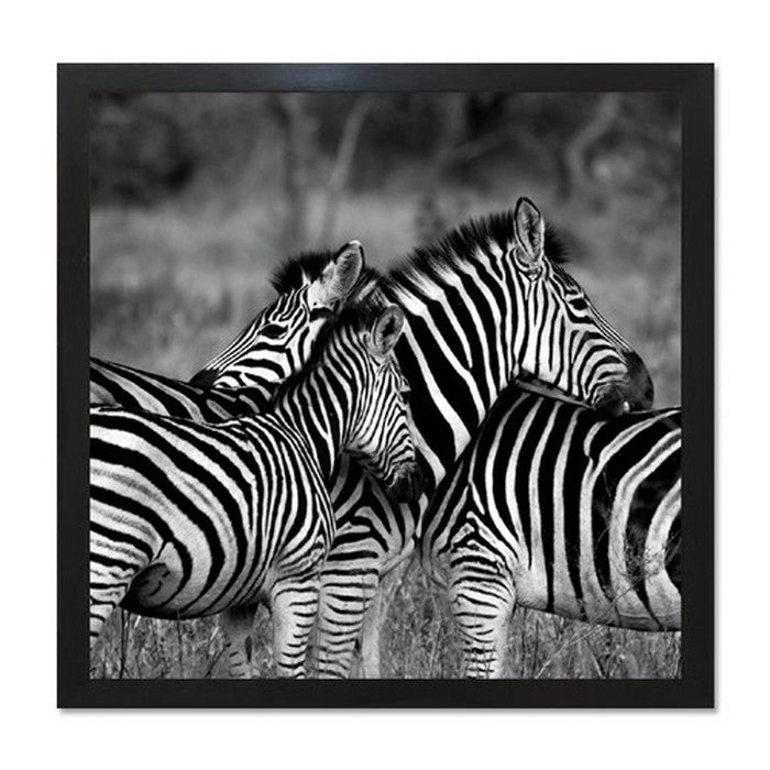 インテリアアート RAKUDECO ラクデコシリーズ Zebra ブラック RD-1007 店舗 カフェ ラウンジ ロビー ホテル 法人 kar-5620954s2の画像