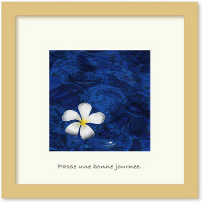 インテリア アートコレクション ミニ Frangi Pani ヒモ付 PF-1032 店舗 カフェ ラウンジ ロビー ホテル 法人 kar-5621031s1の画像