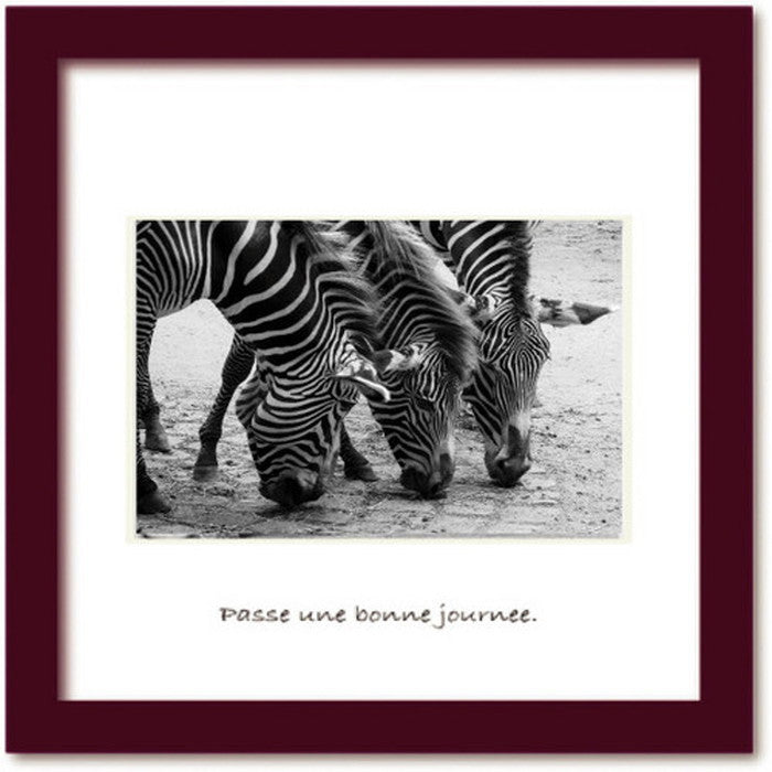 インテリア アートコレクション ミニ Zebras ヒモ付 PP-1016 店舗 カフェ ラウンジ ロビー ホテル 法人 kar-5621034s1の画像