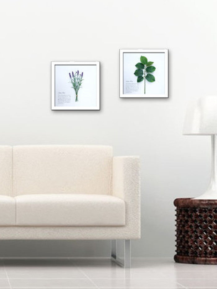 フェイクグリーン グリーンアート Herbe Forte タイム ホワイト HF-2002 店舗 カフェ ラウンジ ロビー ホテル 法人 kar-6294488s2の画像