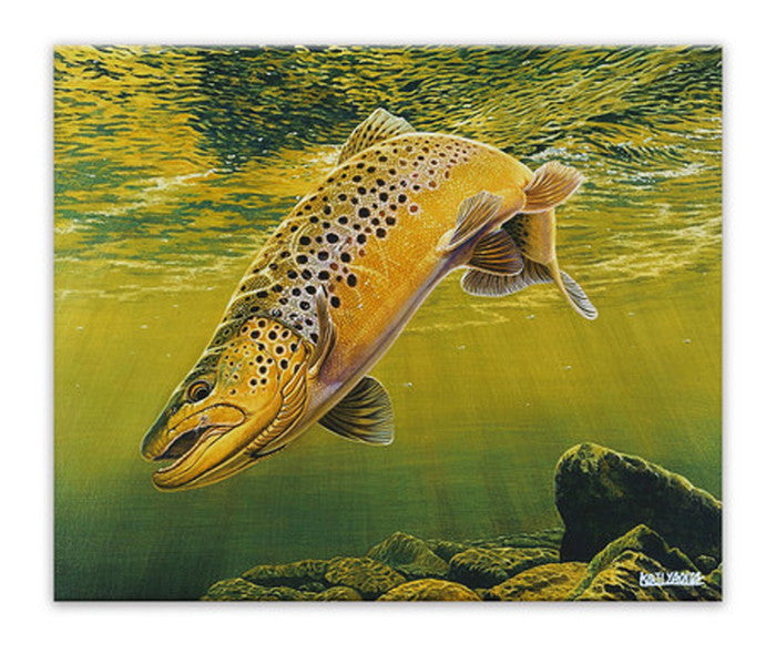 八百板浩司 トラウト3 CY-1008 直筆サイン入り キャンバスアート 店舗 カフェ ラウンジ ロビー ホテル 法人 kar-6893206S1の画像