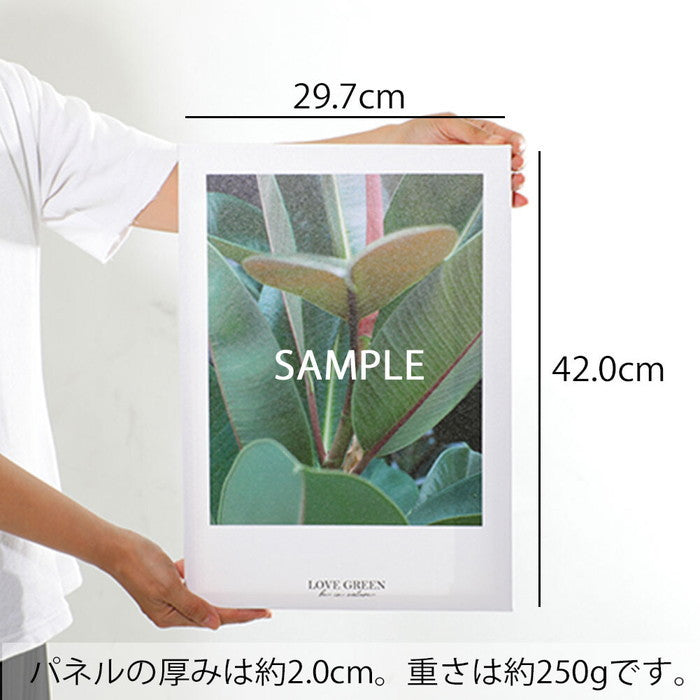 CREA キャンバスアートパネル ボタニカルシリーズ botanical Series A3 2 CE-4105 W297×H420×D20mm 店舗 カフェ ラウンジ ロビー ホテル 法人 kar-9162680s1の画像