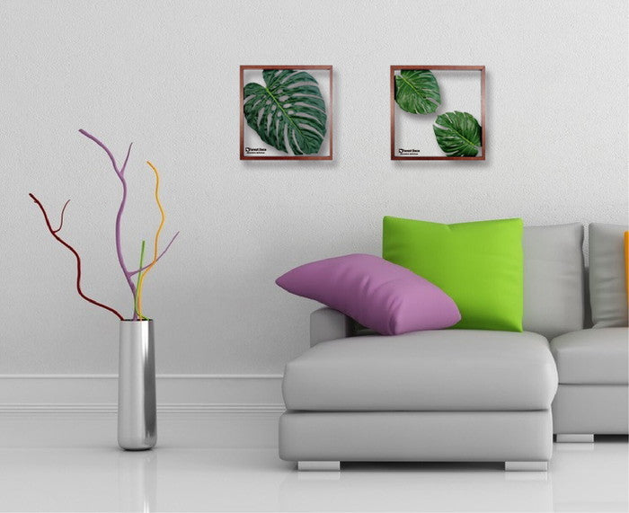 インテリアグリーンアート ForestDecoL Philodendron LP-1006 フレームカラー ブラウン 店舗 カフェ ラウンジ ロビー ホテル 法人 kar-9326788s1の画像