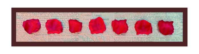 レクタングルアートL ペタレス・ド・ローズ・ルージュ Petales de rose Rouge RP-2001BR フレームカラー:ブラウン 店舗 カフェ ラウンジ ロビー ホテル 法人 kar-9945825s1の画像