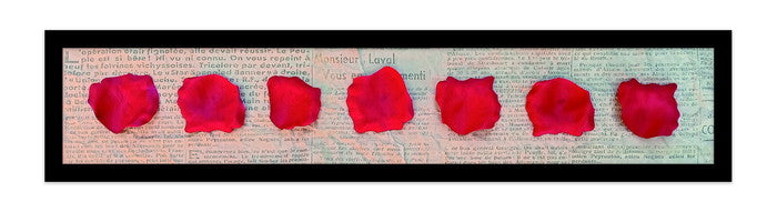 レクタングルアートL ペタレス・ド・ローズ・ルージュ Petales de rose Rouge RP-2001BK フレームカラー:ブラック 店舗 カフェ ラウンジ ロビー ホテル 法人 kar-9945825s3の画像