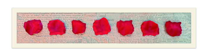 レクタングルアートL ペタレス・ド・ローズ・ルージュ Petales de rose Rouge RP-2001WH フレームカラー:ホワイト 店舗 カフェ ラウンジ ロビー ホテル 法人 kar-9945825s4の画像