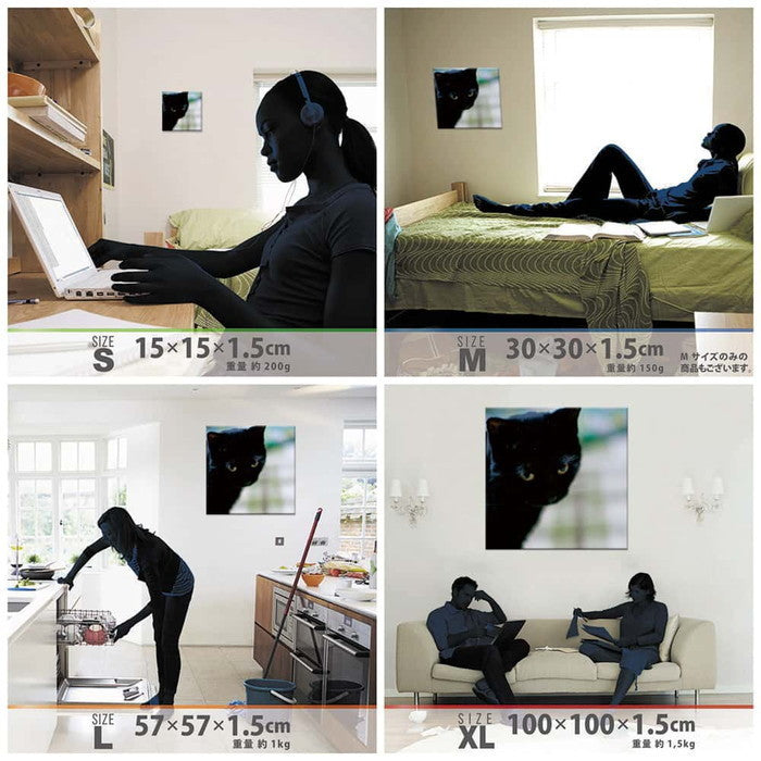 猫 ANIMAL Mサイズ 30cm×30cm アートパネル ファブリックパネル アートボード 壁掛け 日本製 ラッピング付き 店舗 カフェ ラウンジ ロビー ホテル 法人 lib-pho-0030-mの画像
