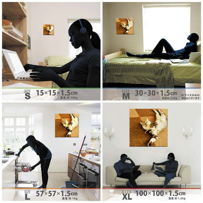 猫 ANIMAL XLサイズ 100cm×100cm アートパネル ファブリックパネル アートボード 壁掛け 日本製 ラッピング付き 店舗 カフェ ラウンジ ロビー ホテル 法人 lib-pho-0049-xlの画像