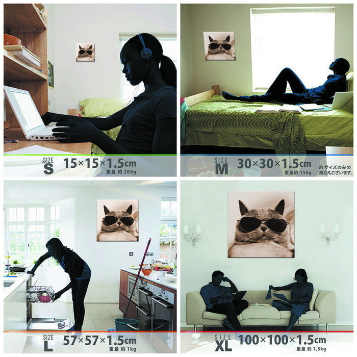 猫 アート XLサイズ 100cm×100cm アートパネル ファブリックパネル アートボード 壁掛け 日本製 ラッピング付き 店舗 カフェ ラウンジ ロビー ホテル 法人 lib-pho-0103-xlの画像