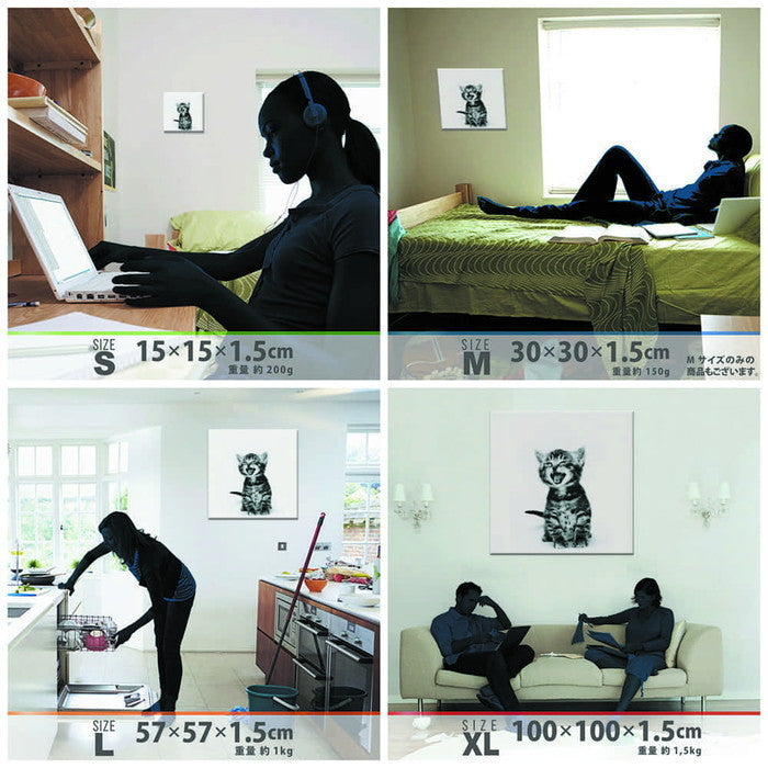 猫 Sサイズ 15cm×15cm アートパネル ファブリックパネル アートボード 壁掛け 日本製 ラッピング付き 店舗 カフェ ラウンジ ロビー ホテル 法人 lib-pho-0105-sの画像