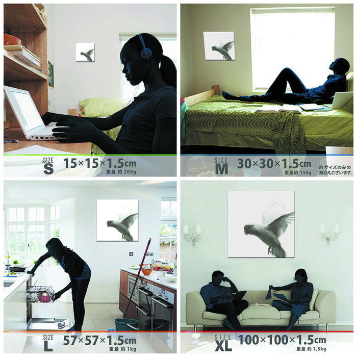 鳥 pho-0109 Lサイズ 57cm×57cm アートパネル ファブリックパネル アートボード 壁掛け 日本製 ラッピング付き 店舗 カフェ ラウンジ ロビー ホテル 法人 lib-pho-0109-lの画像