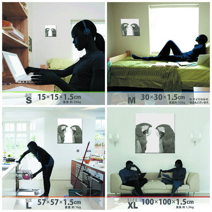 鳥 pho-0110 Sサイズ 15cm×15cm アートパネル ファブリックパネル アートボード 壁掛け 日本製 ラッピング付き 店舗 カフェ ラウンジ ロビー ホテル 法人 lib-pho-0110-sの画像