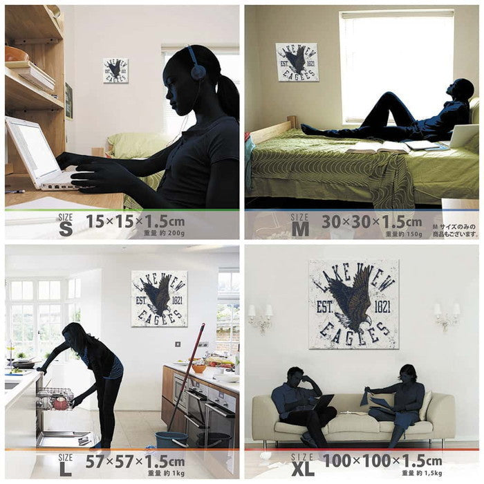 アメリカンなイーグル AMERICAN XLサイズ 100cm×100cm アートパネル ファブリックパネル アートボード 壁掛け 日本製 ラッピング付き 店舗 カフェ ラウンジ ロビー ホテル 法人 lib-pop-0041-xlの画像