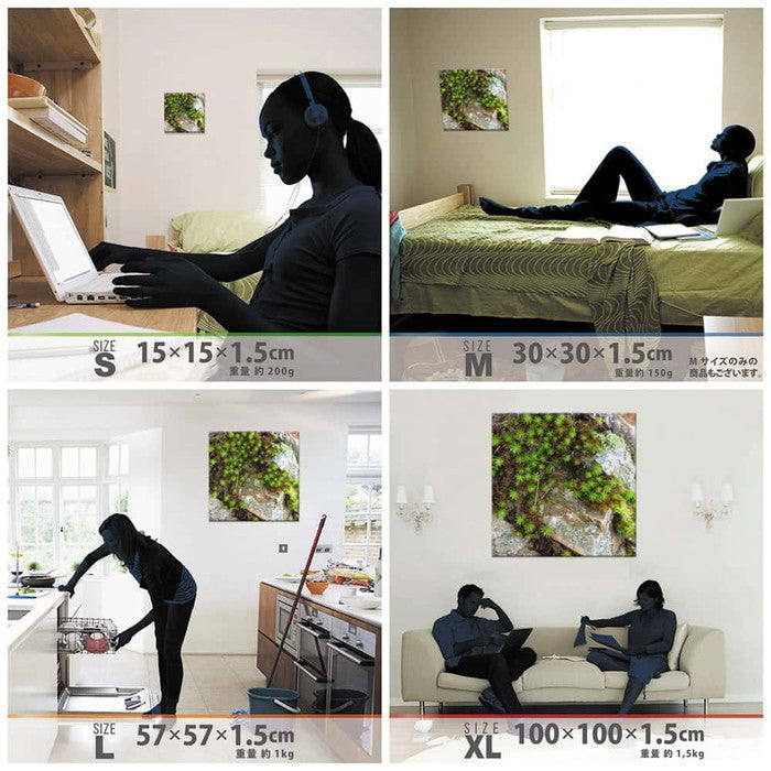 風景写真 PHOTO Mサイズ 30cm×30cm アートパネル ファブリックパネル アートボード 壁掛け 日本製 ラッピング付き 店舗 カフェ ラウンジ ロビー ホテル 法人 lib-rsb-0001-mの画像