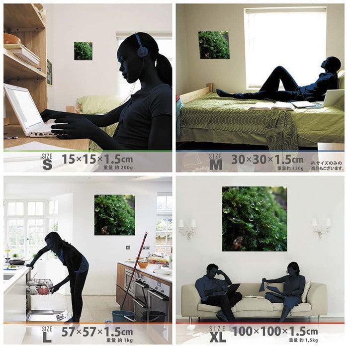 風景写真 PHOTO Mサイズ 30cm×30cm アートパネル ファブリックパネル アートボード 壁掛け 日本製 ラッピング付き 店舗 カフェ ラウンジ ロビー ホテル 法人 lib-rsb-0002-mの画像