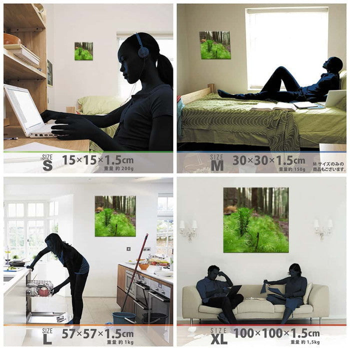 風景写真 PHOTO Mサイズ 30cm×30cm アートパネル ファブリックパネル アートボード 壁掛け 日本製 ラッピング付き 店舗 カフェ ラウンジ ロビー ホテル 法人 lib-rsb-0012-mの画像