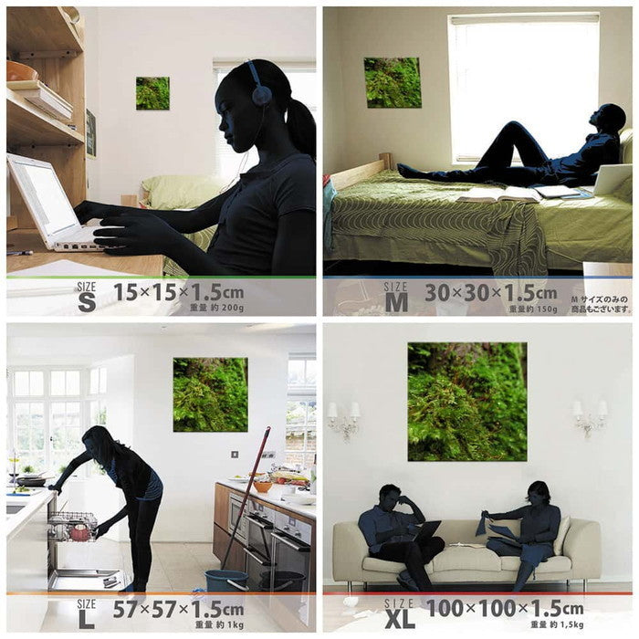 風景写真 PHOTO Mサイズ 30cm×30cm アートパネル ファブリックパネル アートボード 壁掛け 日本製 ラッピング付き 店舗 カフェ ラウンジ ロビー ホテル 法人 lib-rsb-0015-mの画像