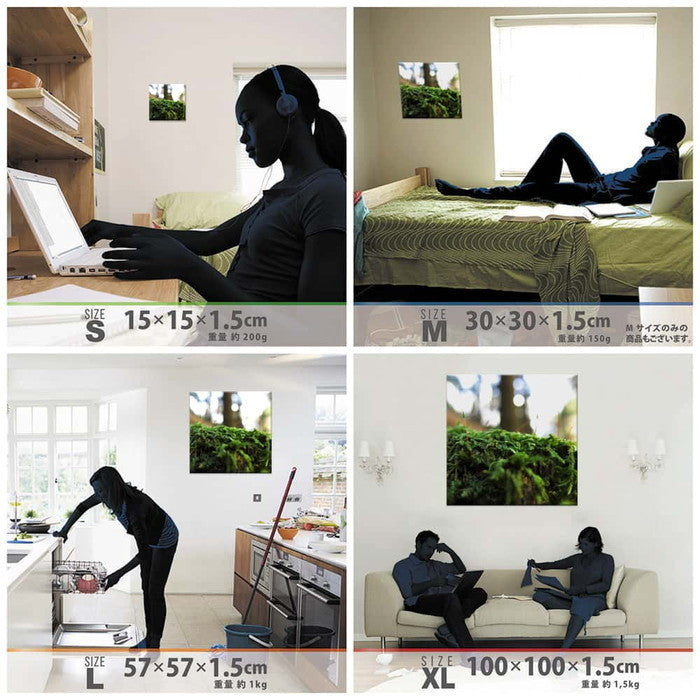 風景写真 PHOTO Mサイズ 30cm×30cm アートパネル ファブリックパネル アートボード 壁掛け 日本製 ラッピング付き 店舗 カフェ ラウンジ ロビー ホテル 法人 lib-rsb-0020-mの画像