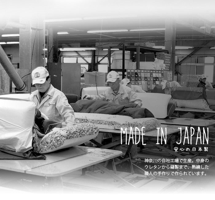 カバーリング座椅子 カビパン 本体+カバー sg-10186の画像