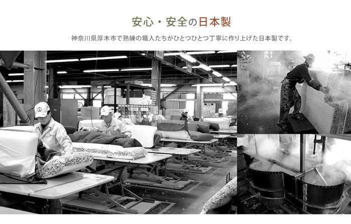 ドッグステップ 2段 トイプードルモデル 階段クッション 安心の日本製 sg-10239の画像