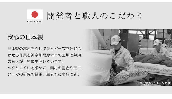 人をダメにする スゴビーズ クッション A801 L sg-10250の画像