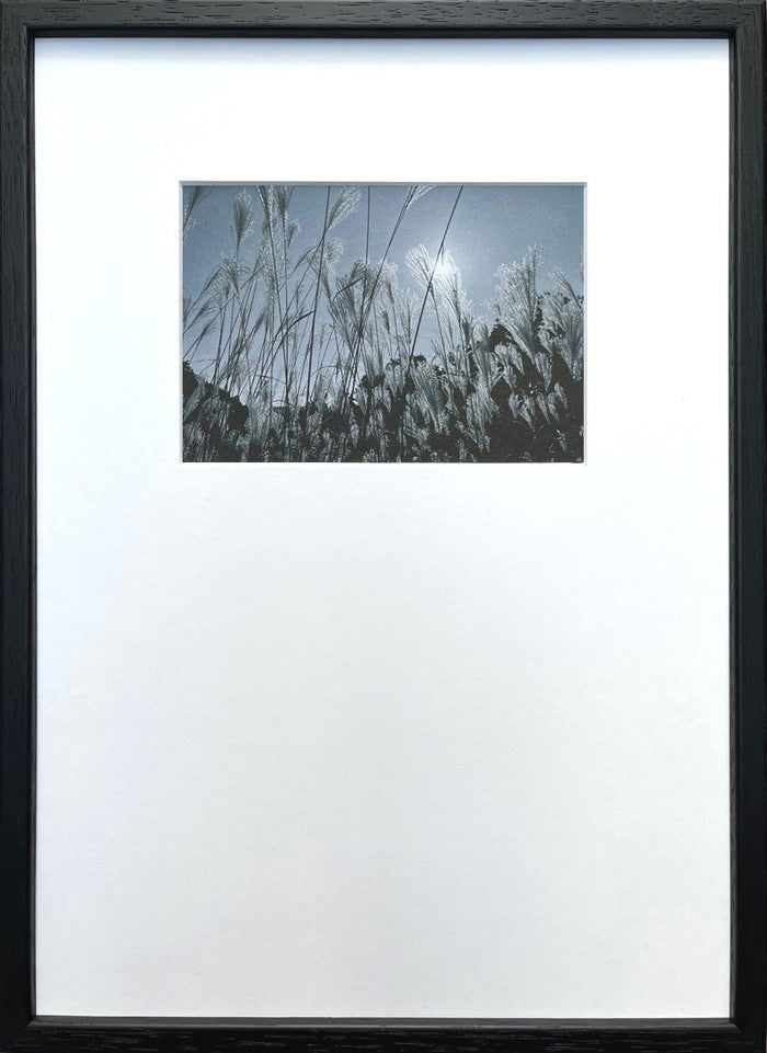 フォトグラフィ アート ススキ Photography art ススキ 275x382x20 snw-ipg-53253の画像