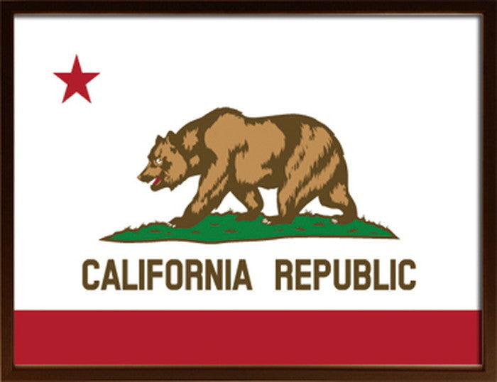 アートフレーム カリフォルニアフラッグ Art Frame California Flag 725x525x30 snw-isf-52295の画像