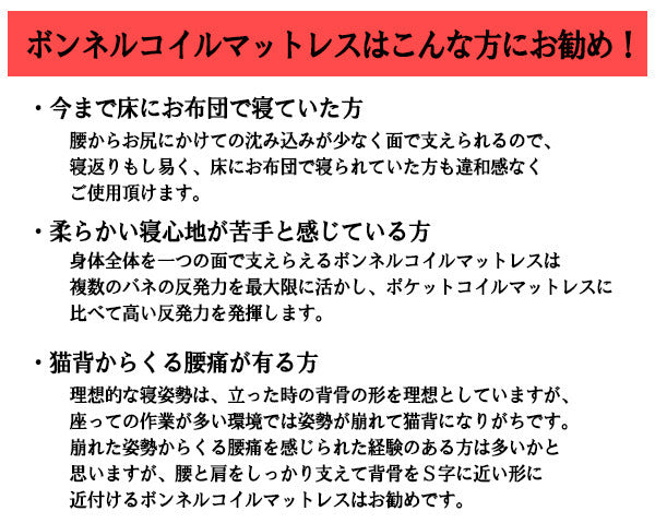 棚 照明付ラインデザインベッド ダブル ボンネルコイルスプリングマットレス付 to-10-285-d-108165の画像