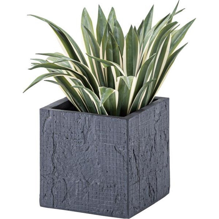 グリーンベース ダークグレー W25×D25×H25.5 グリーンベース ベース 入れ物 観葉植物入れ 飾り インテリア インテリア雑貨 室内 おしゃれ azu-grnb-208の画像