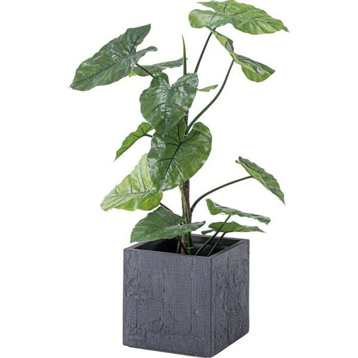 グリーンベース ダークグレー W32×D32×H32 グリーンベース ベース 入れ物 観葉植物入れ 飾り インテリア インテリア雑貨 室内 おしゃれ azu-grnb-209の画像