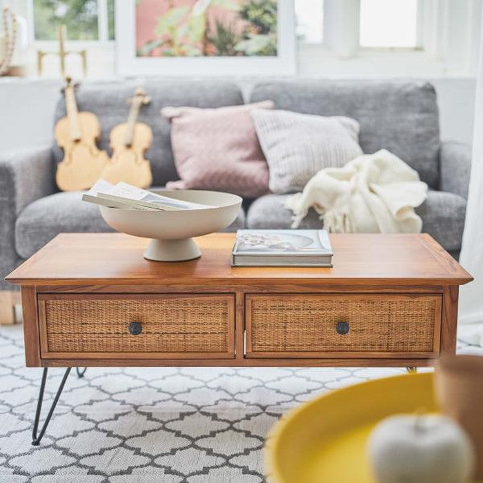 センターテーブル ブラウン W100×D50×H40  azu-guy-371の画像