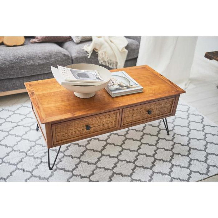 センターテーブル ブラウン W100×D50×H40  azu-guy-371の画像