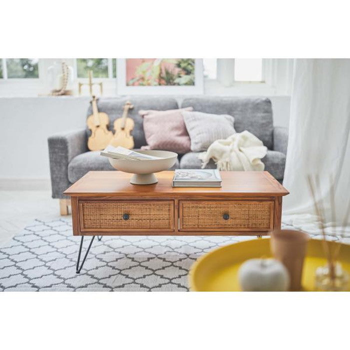 センターテーブル ブラウン W100×D50×H40  azu-guy-371の画像