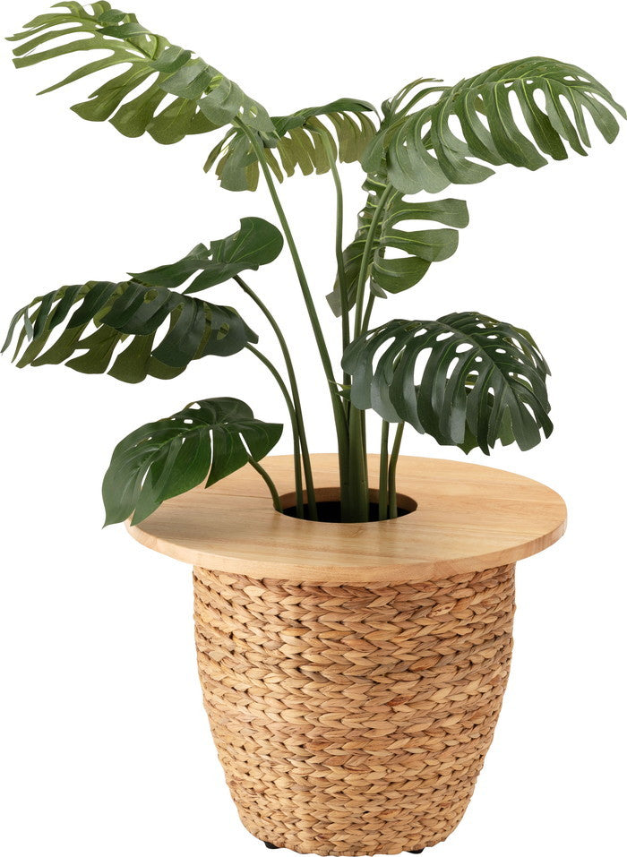 プランターテーブル ナチュラル W50×D50×H1.8  azu-how-014の画像