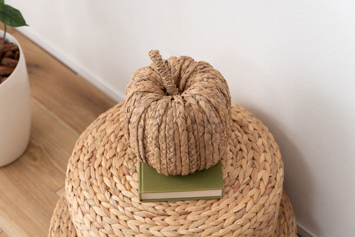 ウォーターヒヤシンス オブジェ W18×D18×H16  azu-sly-610の画像