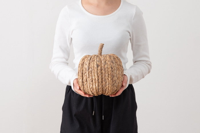 ウォーターヒヤシンス オブジェ W18×D18×H16  azu-sly-610の画像