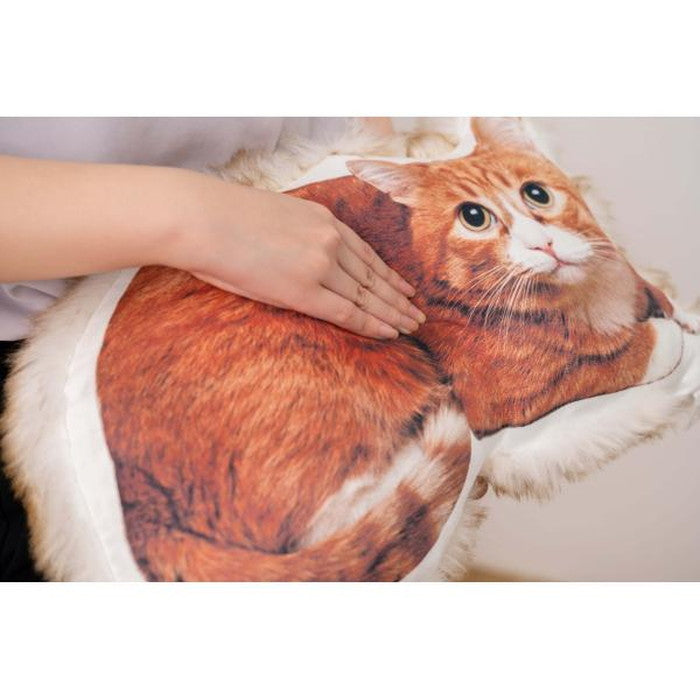 クッション ネコ ブラウン 約W50×D30×H13  azu-ttc-401の画像