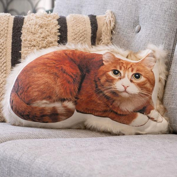 クッション ネコ ブラウン 約W50×D30×H13  azu-ttc-401の画像