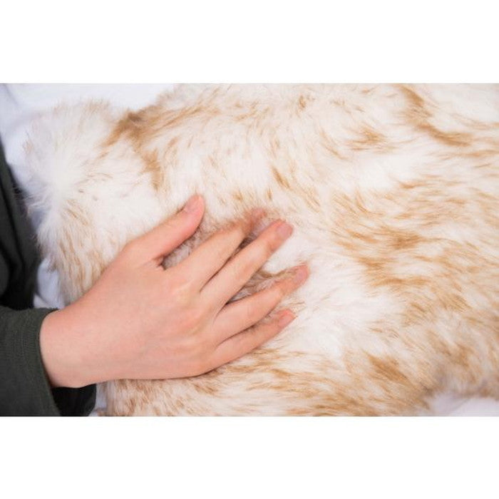 クッション ネコ ブラウン 約W50×D30×H13  azu-ttc-401の画像