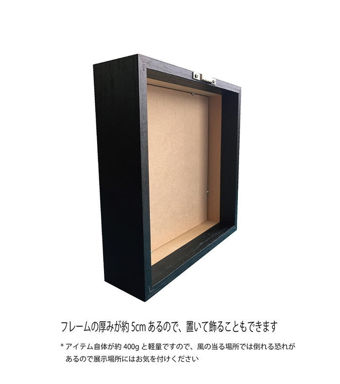 アニマルアルファベット Animal Alphabet Dingo 200x200x53mm ZAA-53211  bic-10772193s1の画像