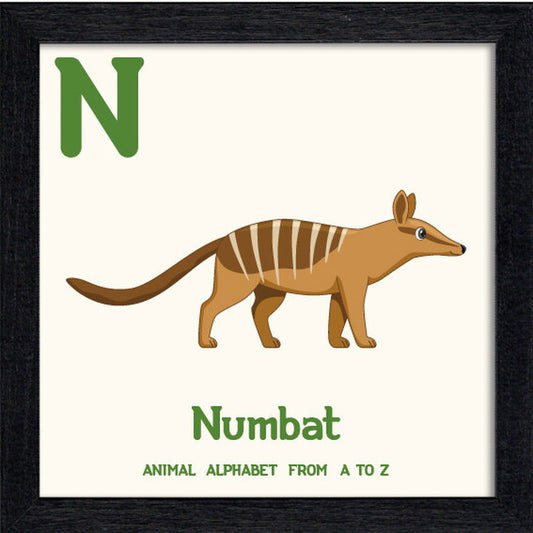 アニマルアルファベット Animal Alphabet Numbat 200x200x53mm ZAA-53221 bic-10772203s1