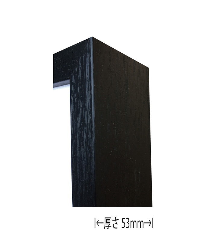 アニマルアルファベット Animal Alphabet Panda 200x200x53mm ZAA-53223  bic-10772205s1の画像