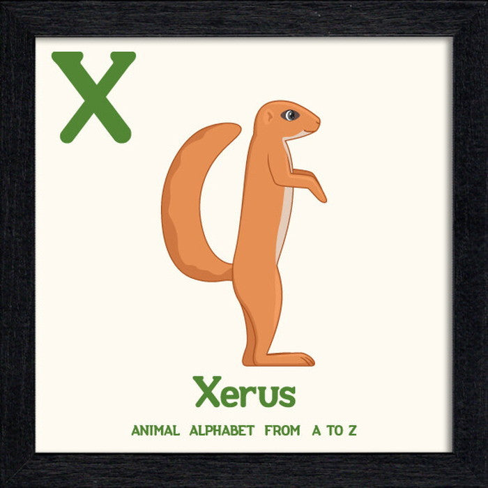 アニマルアルファベット Animal Alphabet Xerus 200x200x53mm ZAA-53231 bic-10772213s1