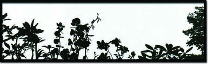 アートフレーム ニコラ・ル・ベアン・ベニック Nicolas Le Beuan Benic Landscape 2007 Silkscreen 1030x330x30mm INB-14379  bic-6942439s1の画像