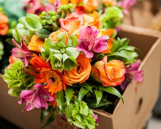 キャンバスアート Petit Canvas Art フラワーボックス 500x400mm 500x400x25mm ZPT-61623  bic-6943275s1の画像