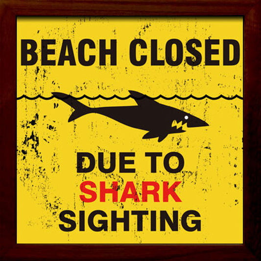 サインフレーム SIGN FRAME Shark Sighting 220x220x20mm ZSF-52033  bic-7088737s1の画像