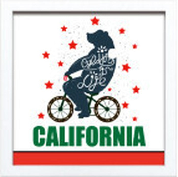 サインフレーム SIGN FRAME CALIFORNIA 220x220x20mm ZSF-52373  bic-7088760s1の画像