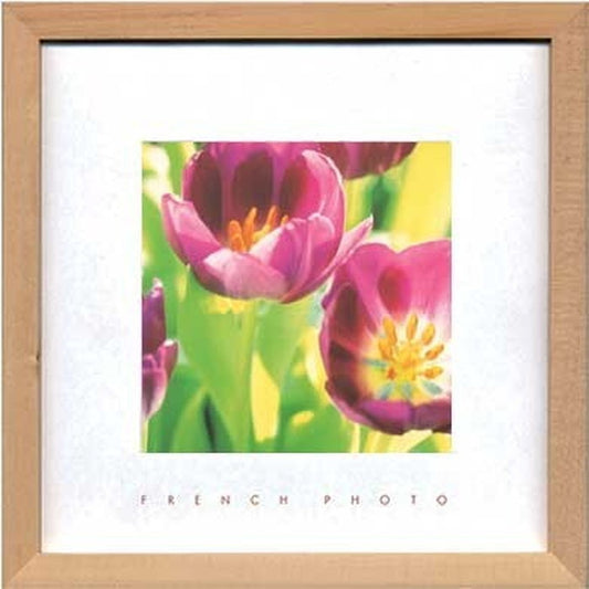 アートフレーム フレンチフォトグラフィ French Photography Tulips 220x220x20mm ZFP-51895 bic-7093197s1