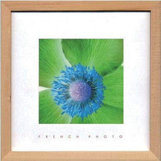 アートフレーム フレンチフォトグラフィ French Photography Anemone invert 220x220x20mm ZFP-51898 bic-7093200s1